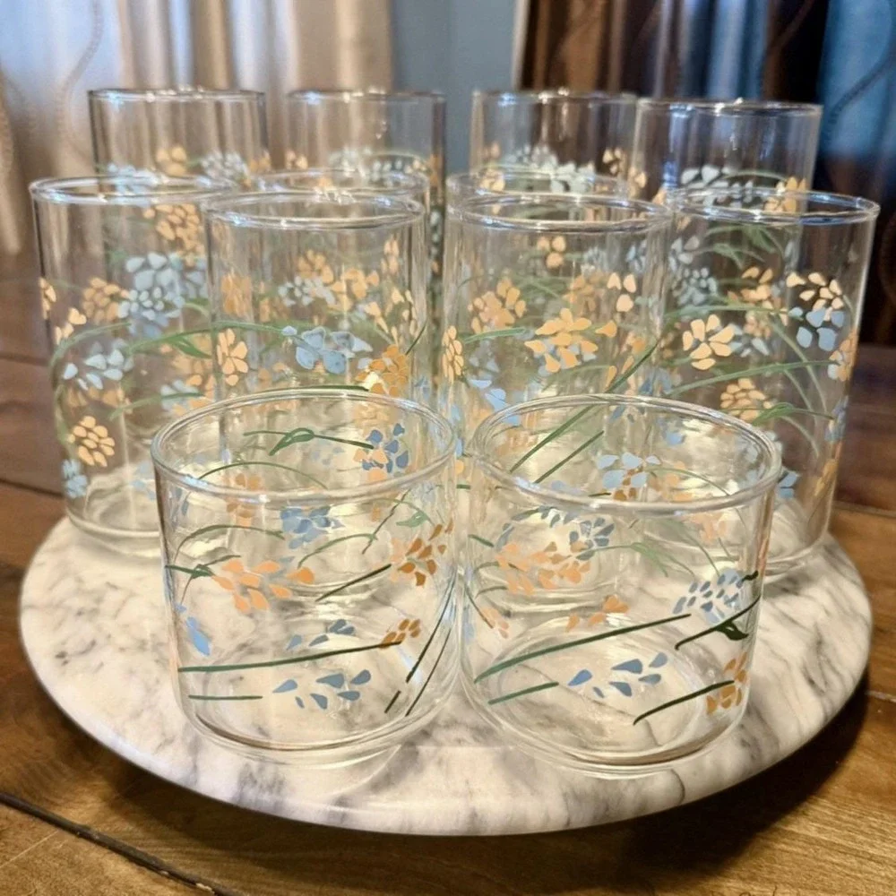 12pc VTG 1950s Mexican Termocrisa Glass Glasses Peach Blue Floral Flowers Mexico